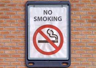 Advocate™ Wall-Mounted Poster Display Sign on brick wall with no smoking poster