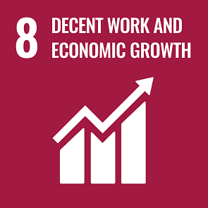 8 – Decent work and Economic Growth
